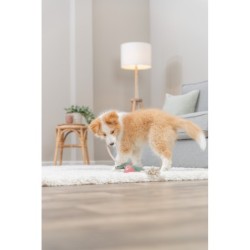 Smok na linie, zabawka, dla psa, skóra/lina, 55 cm