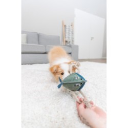 Ryba na linie, zabawka, dla psa, skóra/lina, 28 cm