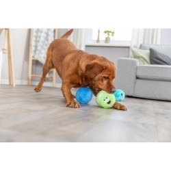 Piłeczki, zabawka, dla psa, plusz, 10 cm, z recyklingu, 6 szt/OPAK, z dźwiękiem