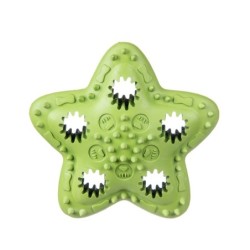 Barry King gwiazda na przysmaki, zielona 12,5cm