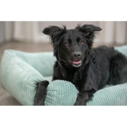 Jonna Vital, legowisko, dla psa/kota, plusz sztruksowy, szałwiowe, 60 × 50 cm