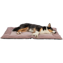 Viviana, mata, dla psa/kota, różowa 120 × 80 cm