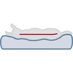 Lonni Vital, materac ortopedyczny, dla psa/kota, szary, 60 x 45 cm