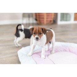 Junior patchwork mata, dla szczeniąt/kociąt, welur, 68 × 62 cm, miętowy/jasnoliliowy/różowy