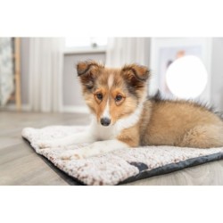 Calida, mata, dla psa/kota, biało/brązowe 60 × 45 cm, z wkładką odbijającą ciepło