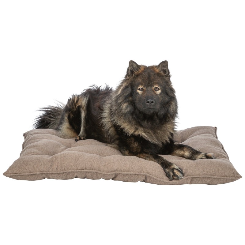 Caliente, poduszka, dla psa/kota, brązowa, 96 x 70 cm