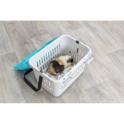 Box transportowy Midi-Capri, 44 × 33 × 32 cm, ciemnoszary/jasnoniebieski, do 1,1kg