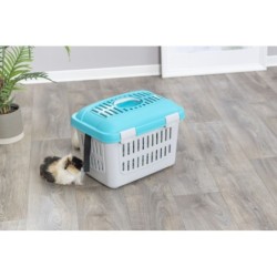 Box transportowy Midi-Capri, 44 × 33 × 32 cm, ciemnoszary/jasnoniebieski, do 1,1kg