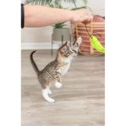 Zestaw insektów, dla kota, filc, 11 cm, z kocimiętką, 48 szt/OPAK