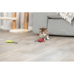 Zestaw insektów, dla kota, filc, 11 cm, z kocimiętką, 48 szt/OPAK