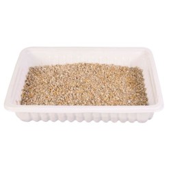 TRAWA DLA KOTA W POJEMNIKU 100g