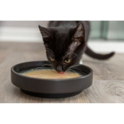 Kittis Salmon Soup, przysmak zupa, dla kota, kurczak i łosoś, 4 × 80 g, 4 szt/opak