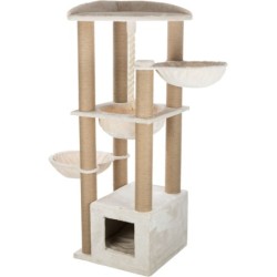 Elia XXL, drapak, kremowy, 172 cm, 2 kartony