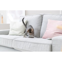 Poduszka, zabawka, dla kota, 7x9cm, bawełna, mix kolorów, z walerianą