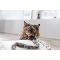 Wędka dla kota, plastik/plusz, 50 cm, z kocimiętką