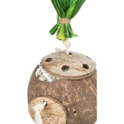 Kokos na linie z sizalu, 35 cm