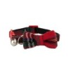 Obroża, dla kota, szkocka krata, 10 mm x 18 - 24 cm, z dzwonkiem i kokardą