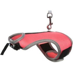 SZELKI PEŁNE DLA KRÓLIKA