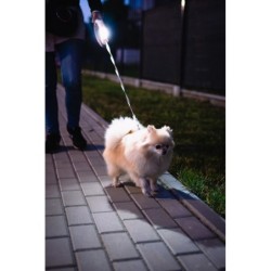 Smycz dla psa, automatyczna, okrągła, biało-szara, taśma, ładowanie USB, 3m