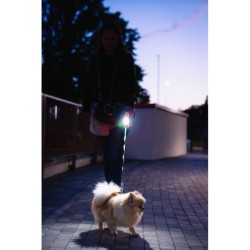 Smycz dla psa, automatyczna, okrągła, biało-szara, taśma, ładowanie USB, 3m