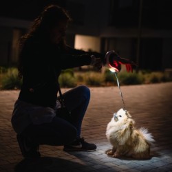 Smycz dla psa, automatyczna, okrągła, biało-szara, taśma, ładowanie USB, 3m