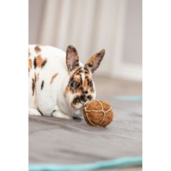 Piłka z kokosa, zabawka, dla gryzoni, 6 cm