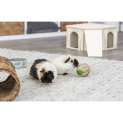 Zabawka w kształcie jabłka, dla królika/gryzoni, z trawy, 7cm