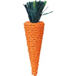 MARCHEWKA DLA KRÓLIKA I MAŁYCH GRYZ