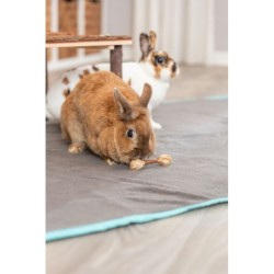 Hantle, zabawka, dla gryzoni, drewno/trawa, 9 × 2 cm, 2 szt/opak