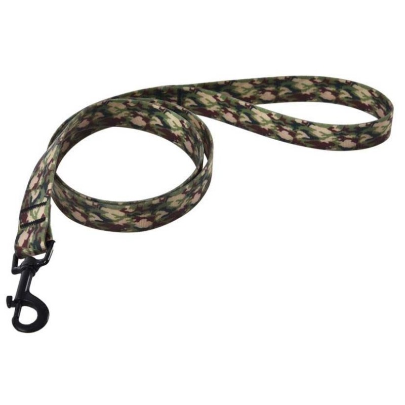 Wodoodporna smycz dla psa, PVC, moro, 2,5x120cm