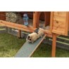 Rampa drewniana do klatek dla gryzoni, 50 cm