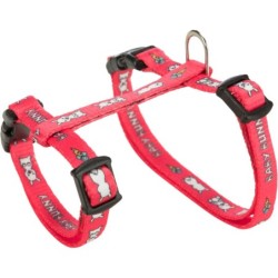 SZELKI DLA MAŁYCH KRÓLIKÓW