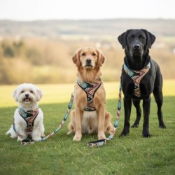 Szelki dla psa, z wytrzymałej tkaniny, wzór boho, max. Obw. Szyi 40cm, obw. Klatki 52-70cm