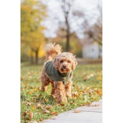 Norwood, pulower, dla psa, oliwkowa zieleń,  S: 33 cm