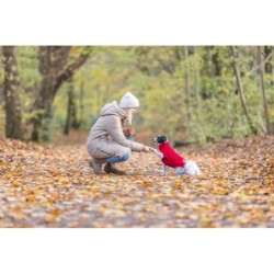 Norwood, pulower, dla psa, czerwony,  XXS: 21 cm