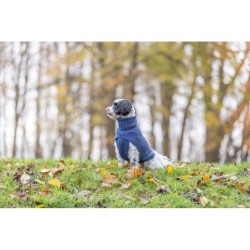 Norwood, pulower, dla psa, niebieski,  XS: 27 cm