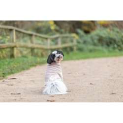 Norwood, pulower, dla psa, róż,  S: 33 cm