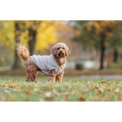 Carson, bluza z kapturem, dla psa, piaskowa XXS: 21 cm