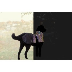 Limoux reflect, płaszczyk, dla psa, odblaskowy, XL: 70 cm