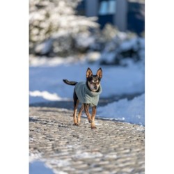 Citystyle Berlin, pulower, dla psa, szałwiowy, L: 55 cm