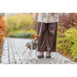 Pontis, płaszczyk z szelkami, dla psa, zielony, XXS: 24 cm