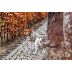 Pontis, płaszczyk z szelkami, dla psa, zielony, M: 45 cm