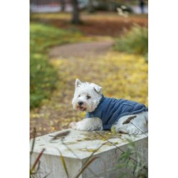 Ajou, płaszczyk, dla psa, niebieski, XXS: 18 cm