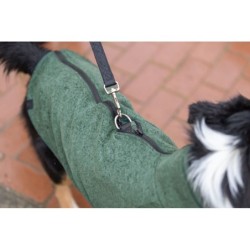 CityStyle Amsterdam, bluza, dla psa, ciemnozielona, L: 62 cm