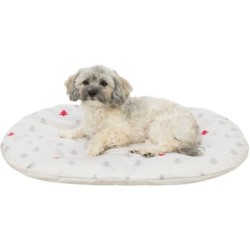 Nivia, poduszka świąteczna, dla psa/kota, owalna, kremowa, 98 x 62 cm