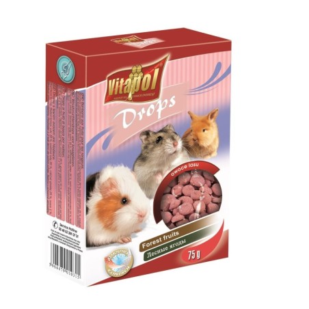 DROPSY DLA GRYZONI OWOCE LASU 75g