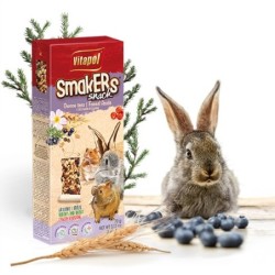 SMAKERS DLA GRYZONI-OWOCE LEŚNE