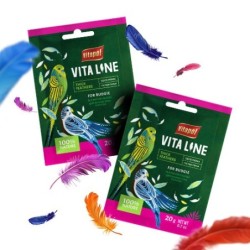 VITALINE GĘSTE PIÓRKA