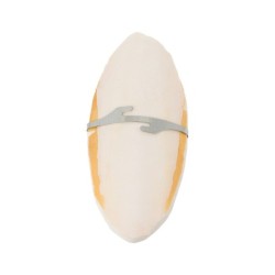 Sepia dla ptaków duża  14-16 cm na blistrze, karton 24 sztuki