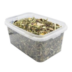 Vita Herbal karma pełnoporcjowa dla dla szynszyli i koszatniczki, wiaderko, 900g